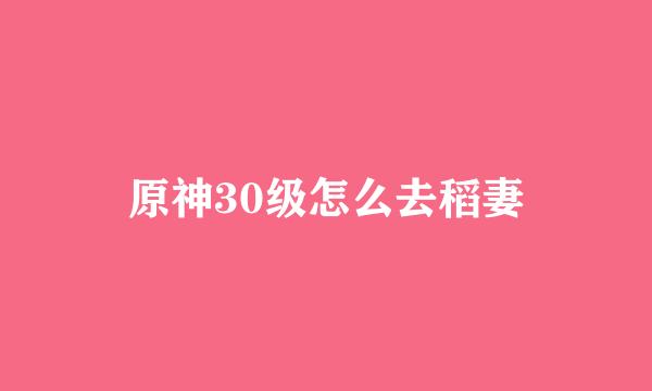原神30级怎么去稻妻