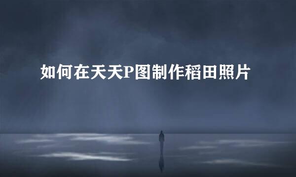 如何在天天P图制作稻田照片