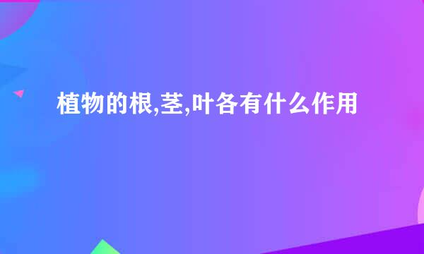 植物的根,茎,叶各有什么作用