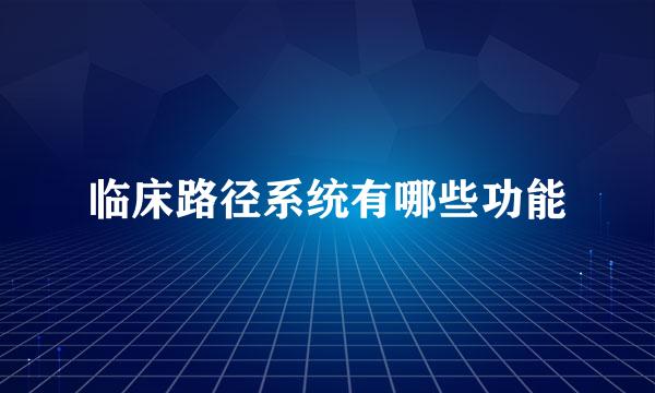 临床路径系统有哪些功能
