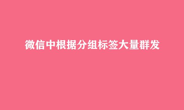 微信中根据分组标签大量群发
