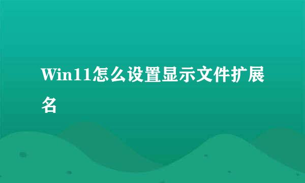 Win11怎么设置显示文件扩展名