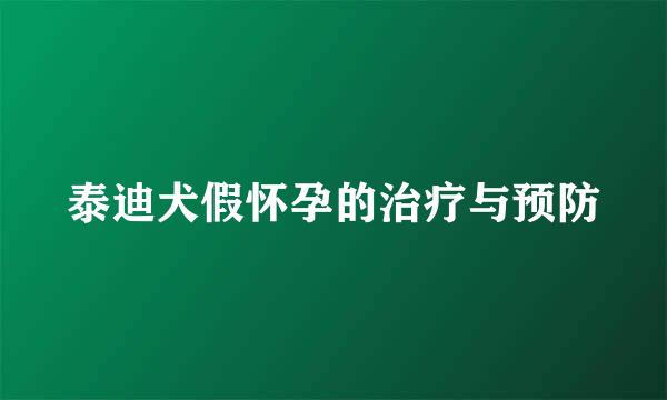 泰迪犬假怀孕的治疗与预防
