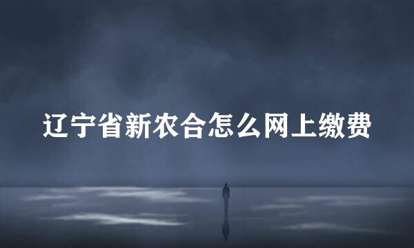 辽宁省新农合怎么网上缴费