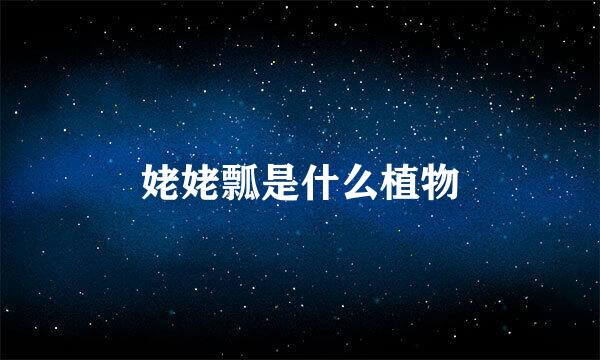 姥姥瓢是什么植物