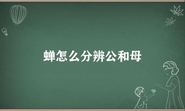 蝉怎么分辨公和母