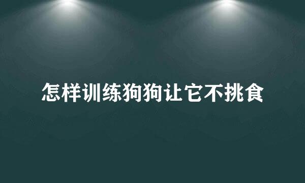 怎样训练狗狗让它不挑食