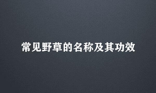 常见野草的名称及其功效