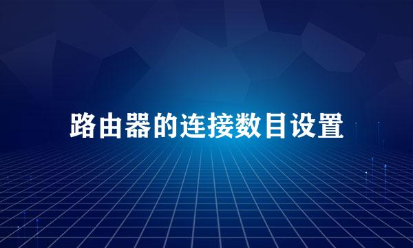 路由器的连接数目设置