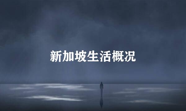 新加坡生活概况