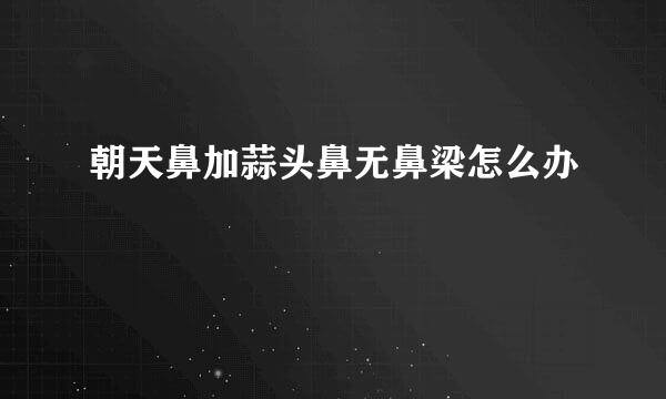 朝天鼻加蒜头鼻无鼻梁怎么办