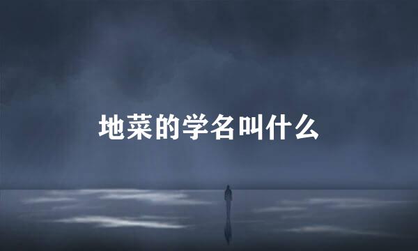 地菜的学名叫什么