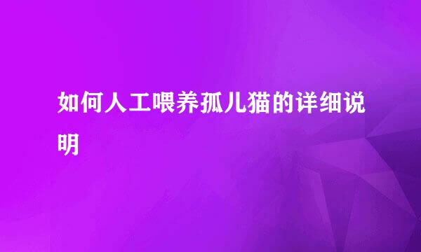 如何人工喂养孤儿猫的详细说明