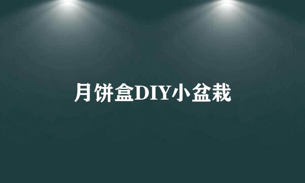 月饼盒DIY小盆栽