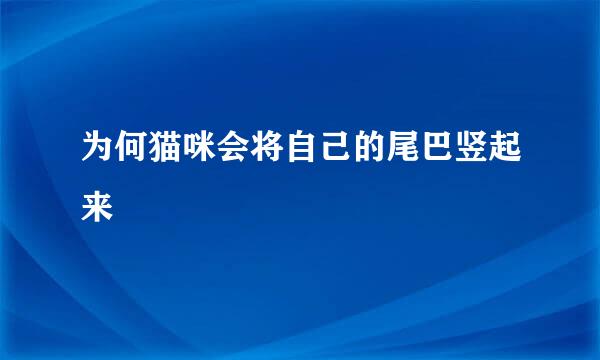 为何猫咪会将自己的尾巴竖起来