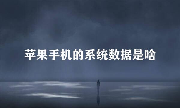 苹果手机的系统数据是啥