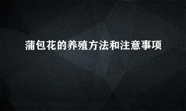 蒲包花的养殖方法和注意事项