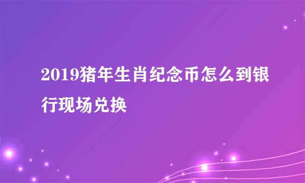 2019猪年生肖纪念币怎么到银行现场兑换