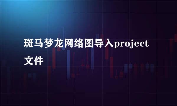 斑马梦龙网络图导入project文件