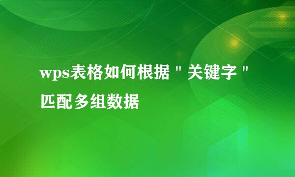 wps表格如何根据＂关键字＂匹配多组数据