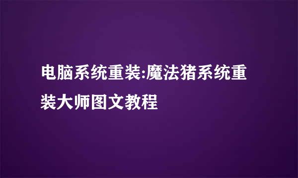 电脑系统重装:魔法猪系统重装大师图文教程