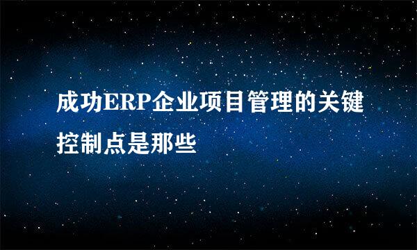 成功ERP企业项目管理的关键控制点是那些