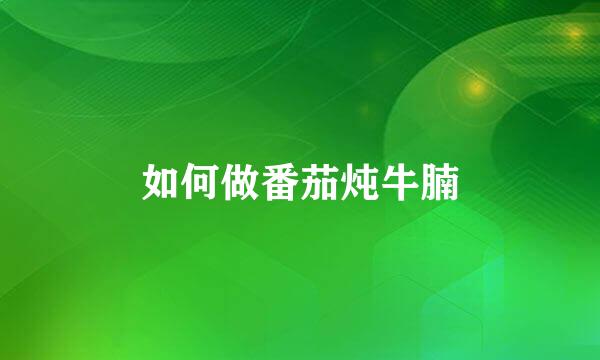 如何做番茄炖牛腩