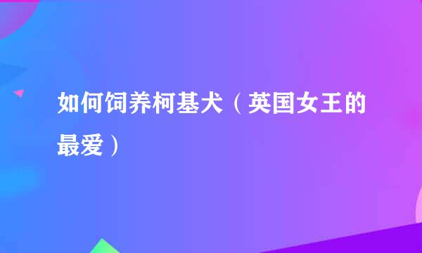 如何饲养柯基犬(英国女王的最爱)
