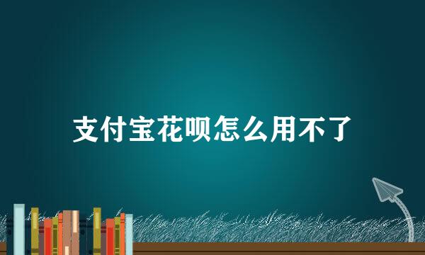 支付宝花呗怎么用不了
