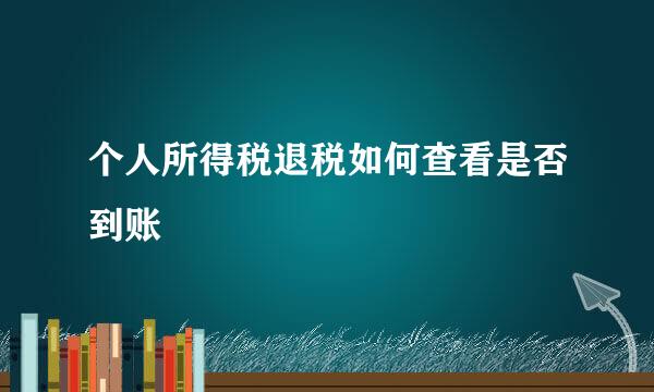 个人所得税退税如何查看是否到账
