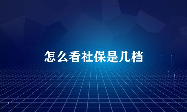 怎么看社保是几档
