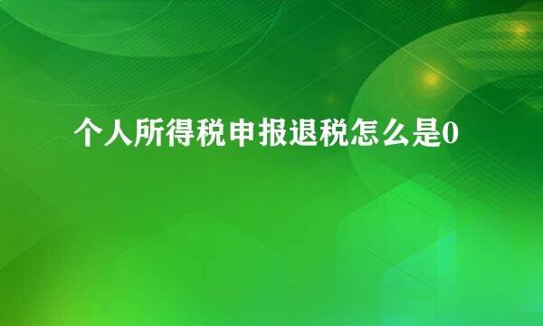 个人所得税申报退税怎么是0