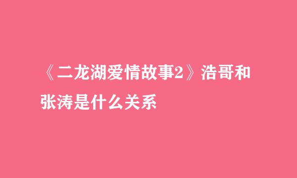 《二龙湖爱情故事2》浩哥和张涛是什么关系