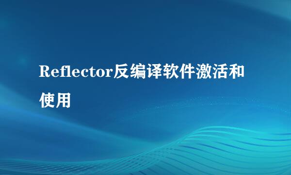 Reflector反编译软件激活和使用