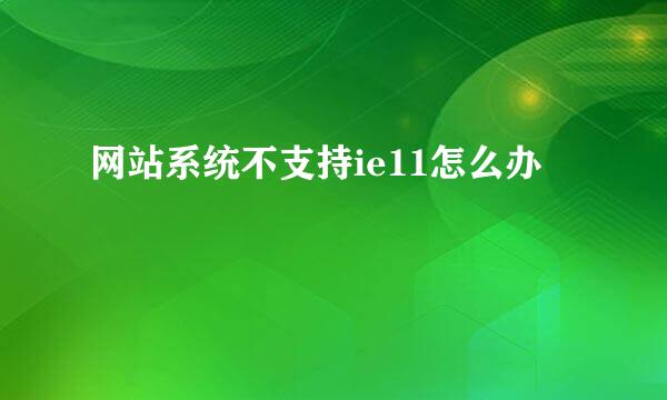网站系统不支持ie11怎么办