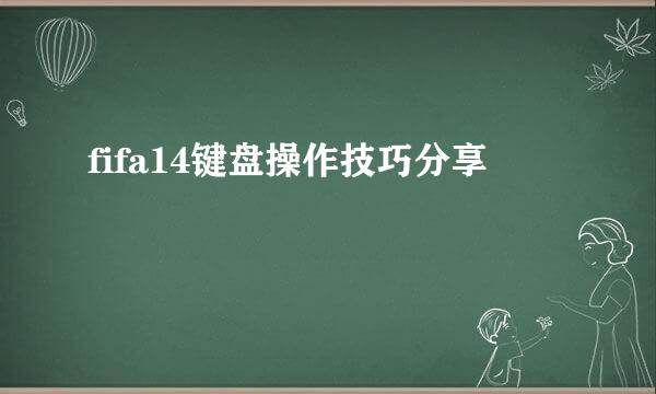 fifa14键盘操作技巧分享