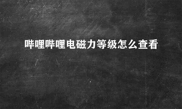 哔哩哔哩电磁力等级怎么查看