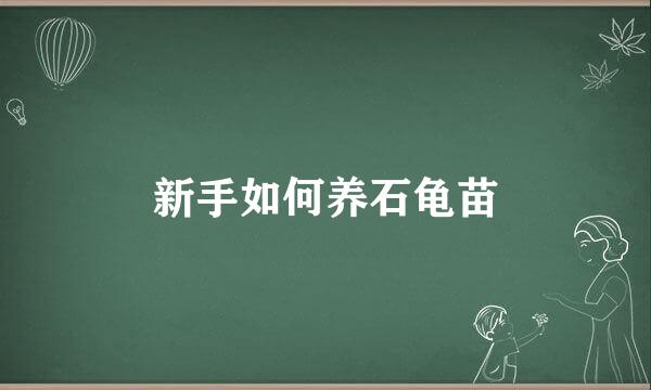 新手如何养石龟苗