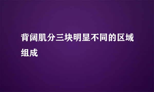 背阔肌分三块明显不同的区域组成