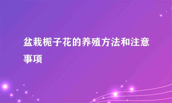 盆栽栀子花的养殖方法和注意事项