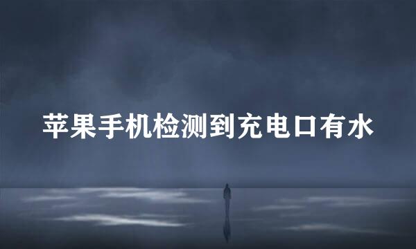 苹果手机检测到充电口有水