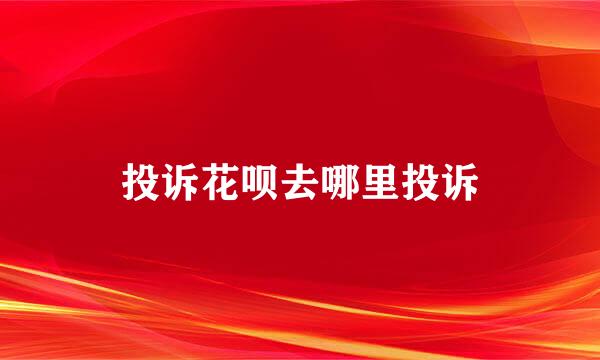 投诉花呗去哪里投诉