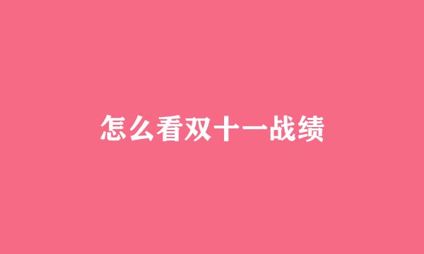 怎么看双十一战绩