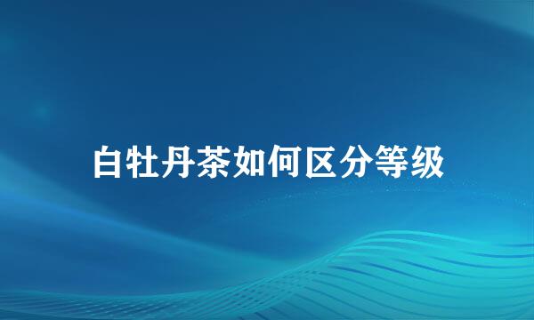 白牡丹茶如何区分等级
