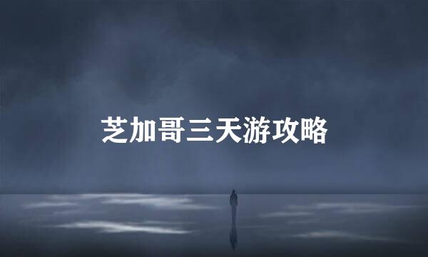 芝加哥三天游攻略
