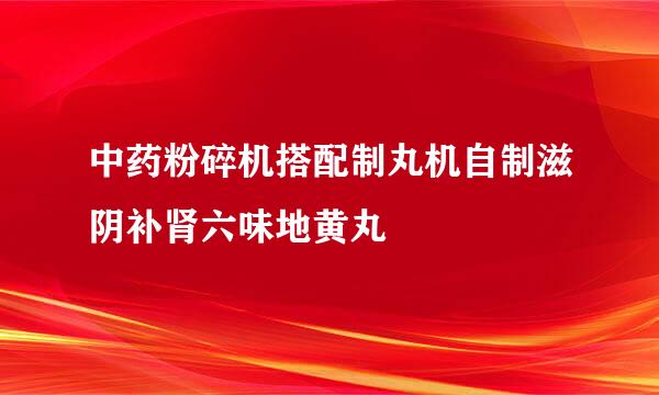 中药粉碎机搭配制丸机自制滋阴补肾六味地黄丸