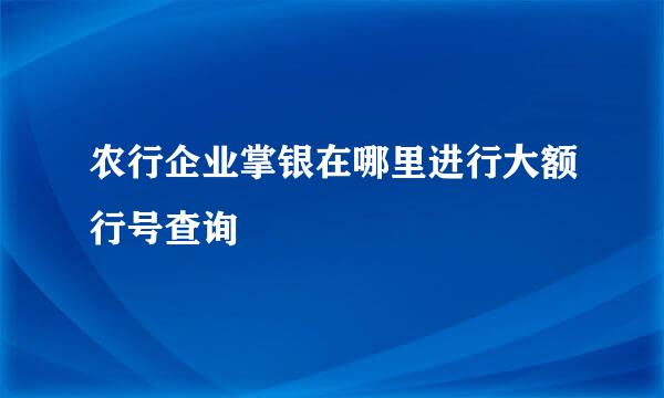 农行企业掌银在哪里进行大额行号查询