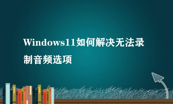 Windows11如何解决无法录制音频选项