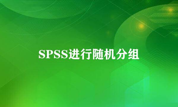 SPSS进行随机分组