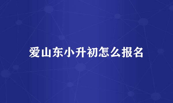 爱山东小升初怎么报名